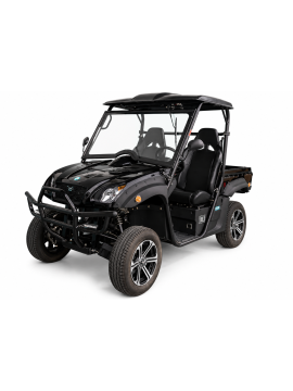 CARRO DE GOLF 2+CAJA MATRICULABLE - CON USO